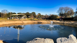 Pond at Dueling Dogs