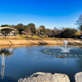 Pond at Dueling Dogs